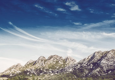 自动攻击网站工具下载