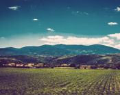 在线DDOS平台攻击